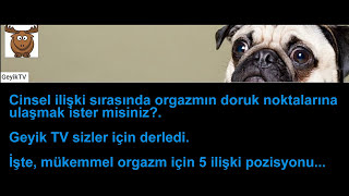 Erkek ve Kadının En Sevdiği Pozisyonlar Hangileridir ?
