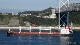SEA MELODY - DD SHIPPING bulk carrier