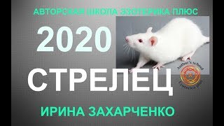 ♐СТРЕЛЕЦ. Гороскоп на 2020 год. Прогноз на 12 домов гороскопа. ТАРО-ПРОГНОЗ.