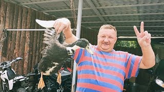 УТКА I Готовить просто, а получается БОМБА