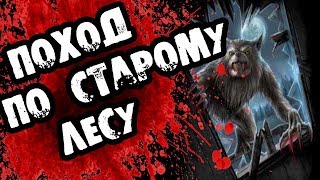 Страшилки на ночь - ПРОГУЛКА ПО СТАРОМУ ЛЕСУ - Жуткие истории про оборотней