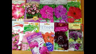 ПОСЕВ ПЕТУНИИ В ЯНВАРЕ , ХОРОШИЙ СПОСОБ . В ГОСТЯХ У ЕЛЕНЫ .