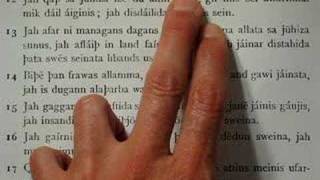 Gothic: Languages of the World: Introductory Overviews