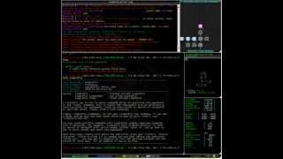 Commands - Looking at the runprefix command in Aardwolf MUD