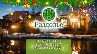 Новый год в бане и сауне Раздолье. Омск