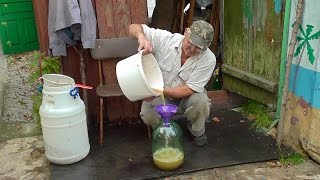Как сделать белое вино из винограда. Сусло из мезги. Вино Фердинанд (2)
