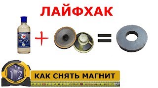 Как снять магнит с динамика. Быстро и аккуратно. Лайфхак