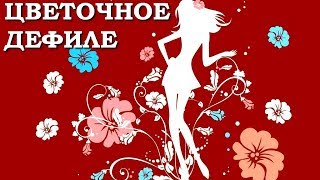 Санкт-Петербург. Павловск. Императорский букет 2018 Цветочное дефиле