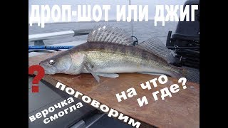 Судак на дроп шот или всё таки на джиг