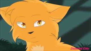 Animash - Warriors cats/Коты-Воители - я подарю небо...