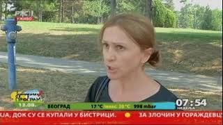 Zašto drveće pada leti?