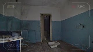 Оставил камеры в Припяти на ночь. Неужели я снял мутанта