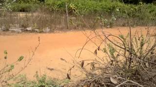 Дорога на пляж из отеля Kristal Sands 3* Гоа