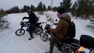 Покатушки на мопеде альфа #8 Снова в лес/четыре альфы!