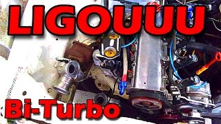 VOYAGE BI TURBO LIGOU ! ! ! !  Papo Reto D2M
