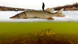 Ловля щуки на раттлин и блесну под Новый Год! Подводная съемка