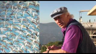 Jamil Molaeb - Documentary