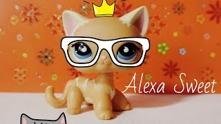 ✥ TOP 10 Любимых LPS ツ ✥