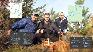 В середине октября по грибы под Лосево и Снегиревку