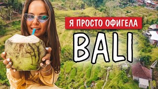 Бали. Я просто ОФИГЕЛА. Вся техника сломалась. Лучший снорклинг с дельфинами