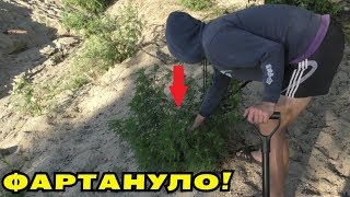 ДЕНЕЖНАЯ НАХОДКА В КУСТАХ НА ПЛЯЖЕ! СМОТРЕТЬ ВСЕМ!