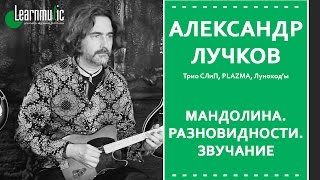 Мандолина. Разновидности. Звучание | Александр Лучков