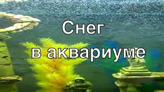 Как сделать мелкие пузырьки воздуха в аквариуме, в виде эффекта снега