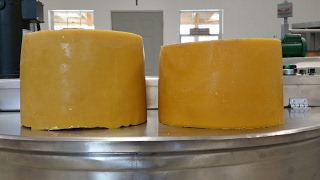 Rendering bees wax