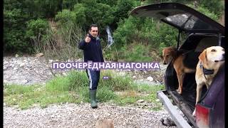 ПООЧЕРЁДНАЯ НАГОНКА  .