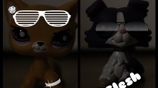 Lps клип Flesh
