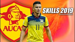 ASÍ JUEGA ALEXANDER ALVARADO NUEVO FUTBOLISTA DE QUERÉTARO JUGADAS, SKILLS 2019/2020