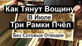 Пасека #87 Три рамки Пчёл, , а Вощину Тянут Быстро. Без сотовые Отводки Пчеловодство