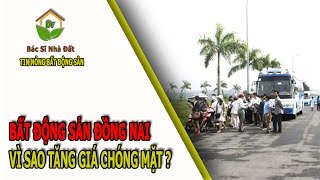 Tin Nóng Bất Động Sản: VÌ SAO ĐẤT NỀN ĐỒNG NAI TĂNG GIÁ CHÓNG MẶT?