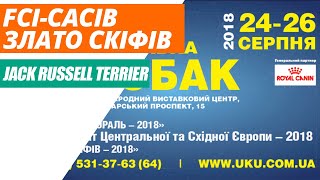 Выставка собак FCI-CACIB «Злато скiфiв - 2018», Киев.Джек Рассел Терьер