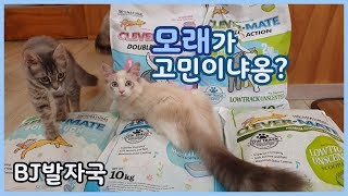 고양이모래 고민이신가요? #클레버메이트 #고양이모래