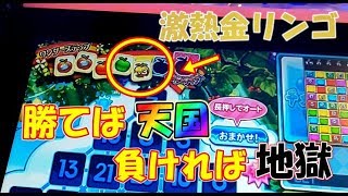 【最凶企画】メダル1枚を10万倍に増やす企画∞（S3-part2）