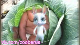 Побухала :) Zoobe Зайка :) 18+