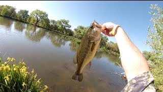 Spro Bronzeye Frog Fishing HD