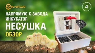 Новые Инкубаторы НЕСУШКА все ЗА и ПРОТИВ, Профессиональный видео обзор - Светлыйдом58.рф