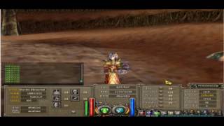 Build  mago  tier  5 # priston tale
