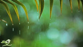 Relaxing Music & Soft Rain Sounds: Relaxing Piano Music, Sleep Music, Peaceful Music ★148?