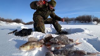 Рыбалка с одной лунки. Щуки и окуни стоят в очереди. Рыбалка мечты!!!