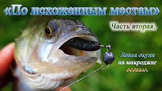 "По исхоженным местам". Часть 2я. Ловля окуня на микроджиг осенью.
