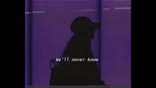Mona Lisa-VALNTN and Peter Fenn lyrics | 1974 Mp3