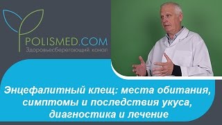 Энцефалитный клещ: места обитания, симптомы и последствия укуса, диагностика и лечение