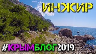 Крым. Пляж Жопа или Инжир? Попали на НУДИСТСКИЙ пляж! Балаклава. КРЫМ БЛОГ ФЕСТ 2019. День #2