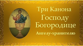 Три Канона,  перед Святым Причастием.  Оптина Пустынь