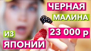 ЧЕРНАЯ МАЛИНА ИЗ ЯПОНИИ ! 23 000 РУБЛЕЙ / ДОРОГО ДЕШЕВО