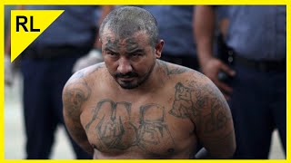 top 9 Pandillas y Mafias más Peligrosas y Temidas en el MUNDO