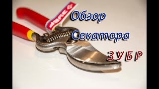 Обзор секатора ЗУБР